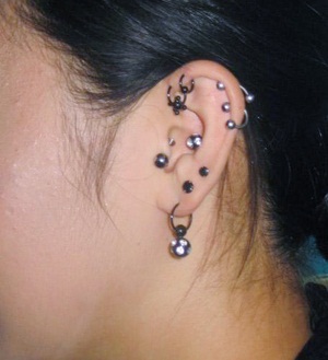 �人���Ƕ�&nbsp;����&nbsp;����